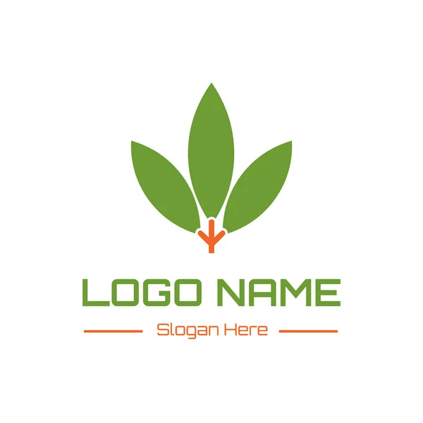 Blad Stam Pictogram Logo Vector Ontwerp — Stockvector