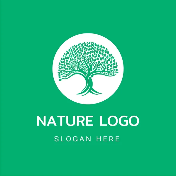 Olive Tree Circle Vector Icon Logo — Stock Vector