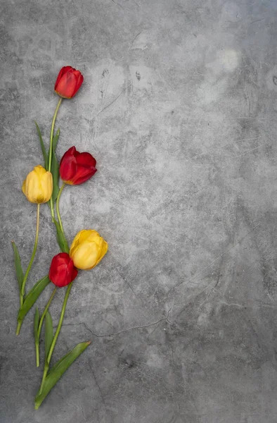 Tulipes rouges sur fond ciment gris minimalisme vue de dessus, décor de Pâques, printemps — Photo