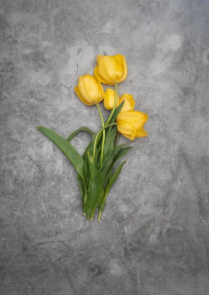 Tulipes jaunes sur fond ciment gris minimalisme vue de dessus, décor de Pâques, printemps — Photo
