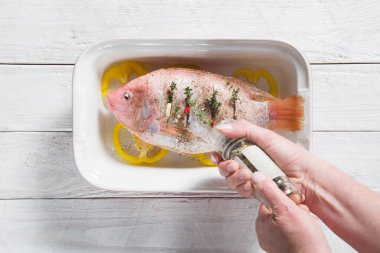 Pişirme kabında sebzeli çiğ pembe tilapia balığı, balığın elleri baharatlı.