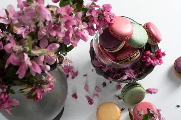 Nature morte de printemps avec des macarons colorés et des fleurs roses de pommier dans une étain — Photo