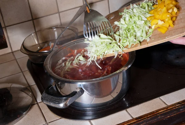 Bir kadın tencereye lahana koyar. Çorba pişirmek için malzemeler.