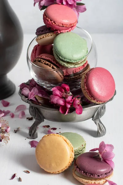 Spring still life with colored macaroons and pink apple tree flowers in a pewter — Stock Photo, Image