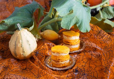 Balkabağı arka planında mini balkabağı peynirli kekler, sonbahar, turuncu renkli yiyecekler, cadılar bayramı, yüksek kaliteli fotoğraf