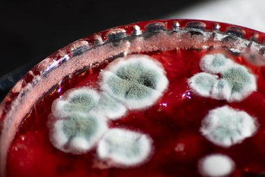 Çilek reçeli üzerine mavi küf, aşçılık teknolojisinin ihlali, sağlık tehlikesi