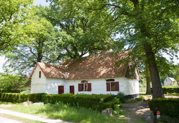 Yeşil çayırlar arasında küçük bir köy evi, eski tarz, köy hayatı, kırsal kesim.