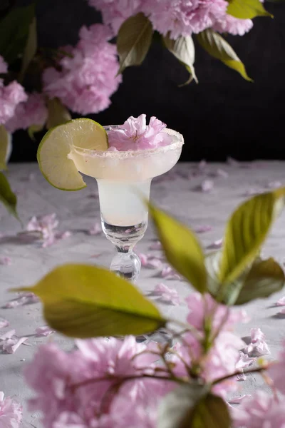 春天还活着 喝着一杯冰凉的玛格丽塔 周围是粉红的樱桃花和水泥 背景是清凉的夏天喝着含酒精的不含酒精的鸡尾酒 高质量的照片 — 图库照片