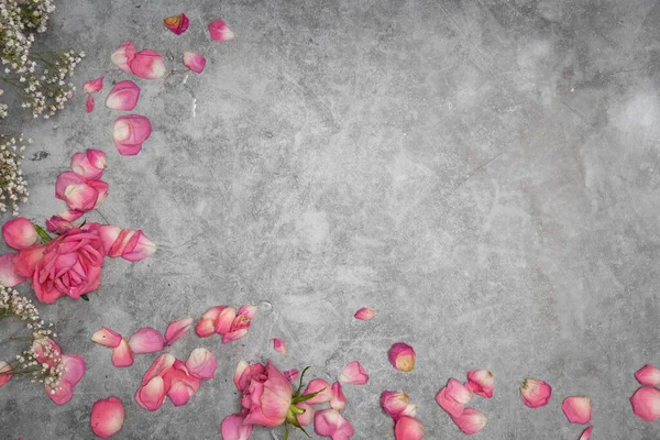 Yazılı Pembe Gül Yapraklı Gri Çimento Arka Plan Sevgililer Günü — Stok fotoğraf