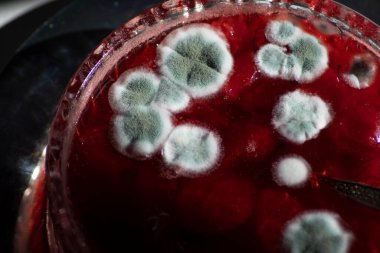 Çilek reçeli üzerine mavi küf, aşçılık teknolojisinin ihlali, sağlık tehlikesi, bozulmuş ürün, kırmızı arka planda güzel mavi noktalar. Yüksek kalite fotoğraf