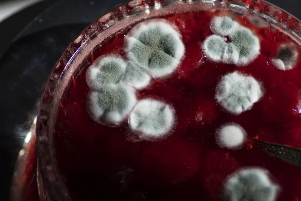 Çilek reçeli üzerine mavi küf, aşçılık teknolojisinin ihlali, sağlık tehlikesi, bozulmuş ürün, kırmızı arka planda güzel mavi noktalar. Yüksek kalite fotoğraf