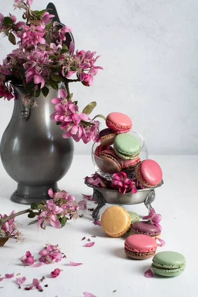 Spring Still Life Colored Macaroons Pink Apple Tree Flowers Pewter — Stock Photo, Image