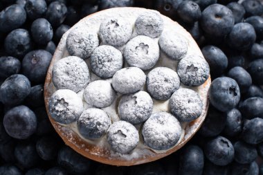 Üzerine pudra şekeri serpiştirilmiş puding kremalı ve yaban mersinli tatlı pastası, dağınık yaban mersinlerinin arka planında, doğal arkaplanı kapat. Yüksek kalite fotoğraf