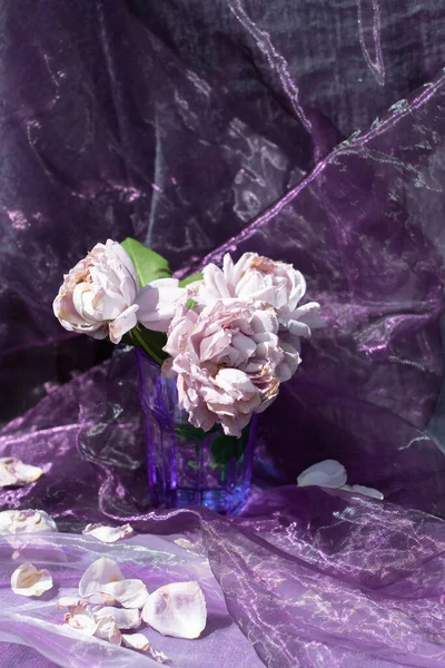 紫色のシフォン生地を背景に 椅子の上の青ガラスにライラックのバラ 自然光の中での静物画 ノヴァリスのバラの美しいデザイン 高品質の写真 — ストック写真