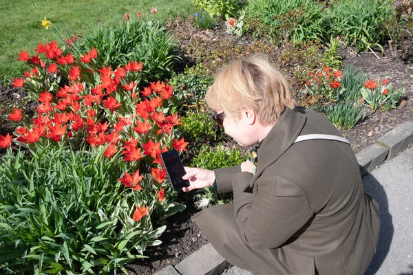 Middle Aged Woman Coat Makes Photo Flowers Blooming Tulips Flower — Fotografia de Stock