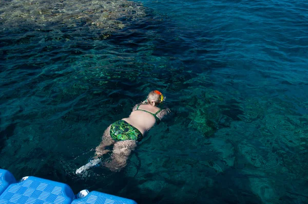 Plump Girl Green Swimsuit Swimming Mask Dives Swims Salty Red — Fotografia de Stock