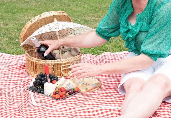 woman in a green blouse sits on a red checkered picnic rug, a cheese plate with red wine and berries, grapes, folded cherries, and an umbrella with a teddy bear in a straw basket on a summer sunny day