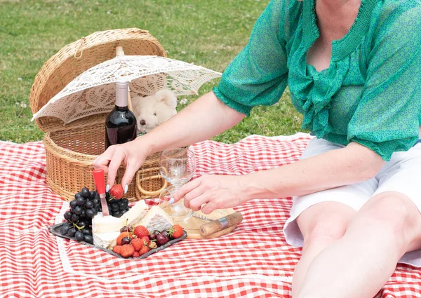 woman in a green blouse sits on a red checkered picnic rug, a cheese plate with red wine and berries, grapes, folded cherries, and an umbrella with a teddy bear in a straw basket on a summer sunny day