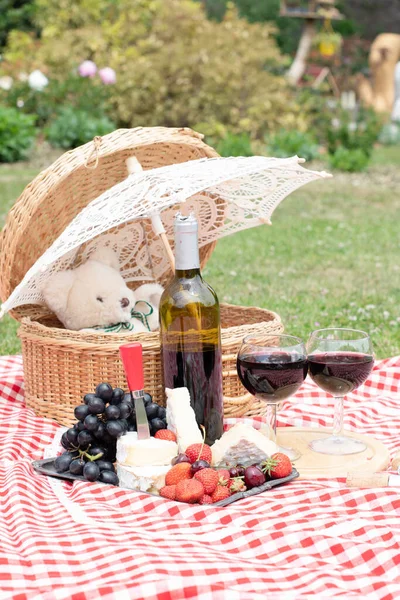 Summer Picnic Green Lawn Red Wine Cheese Fresh Berries Grapes — Zdjęcie stockowe