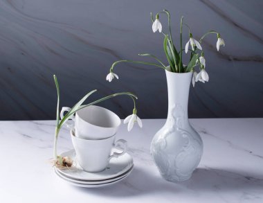 still life with spring white snowdrops and a porcelain cups, morning routine, treat yourself, High quality photo