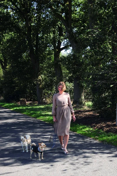 Young Beautiful Caucasian Girl Walks Two Dogs Road Tall Trees — 스톡 사진