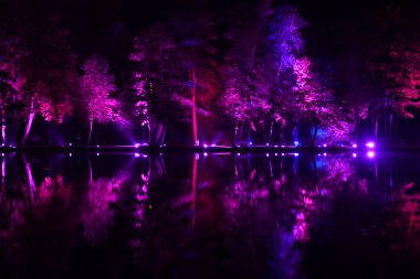 Belçika 'nın Cenk kentindeki bir göldeki bir parkta neon ışığı gösterisi. Büyüleyici mavi-mor renkli ağaçlar suya yansıyor. Yüksek kalite fotoğraf