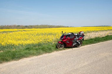 Kırmızı bir motosiklet, baharın başında doğada gelişen sarı kolza tohumu tarlasının yanında durur. Yüksek kalite fotoğraf