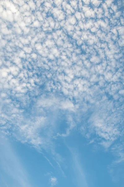 Cielo Azul Pacífico Sobre Cabeza Textura Con Nubes Cirros Blancos — Foto de Stock