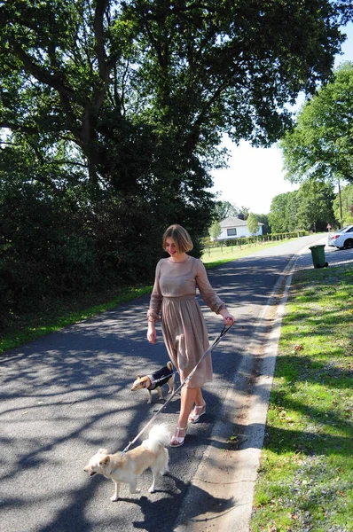 Young Beautiful Caucasian Girl Walks Two Dogs Road Tall Trees — Fotografia de Stock