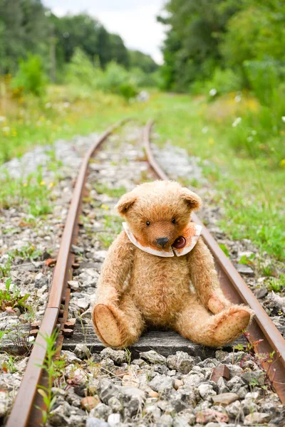 a cute brown teddy bear sits alone on empty mini-rails and looks into the distance, do-it-yourself toy. High quality photo