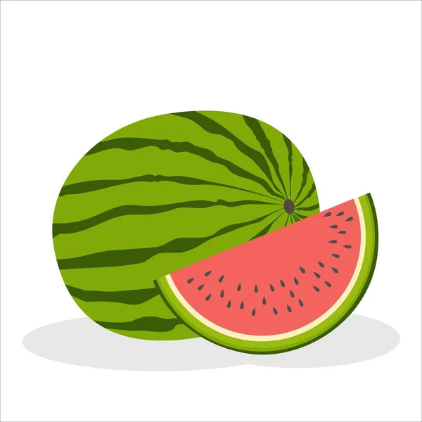  Karpuz vektör çizimi. Karpuz dilimleri