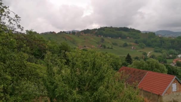 Beautiful Green Nature Landscape Scenery Vineyards Hills Klenice Croatia County — Stock Video