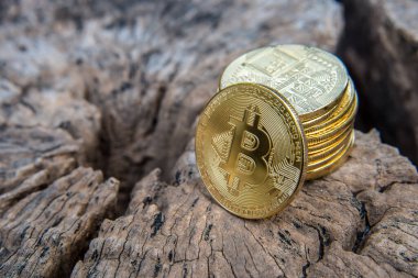 Golden bitcoin coin on and money on wood table.