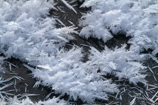 Hace Mucho Frío Aquí Cristales Hoarfrost Cubrieron Superficie Del Hielo —  Fotos de Stock