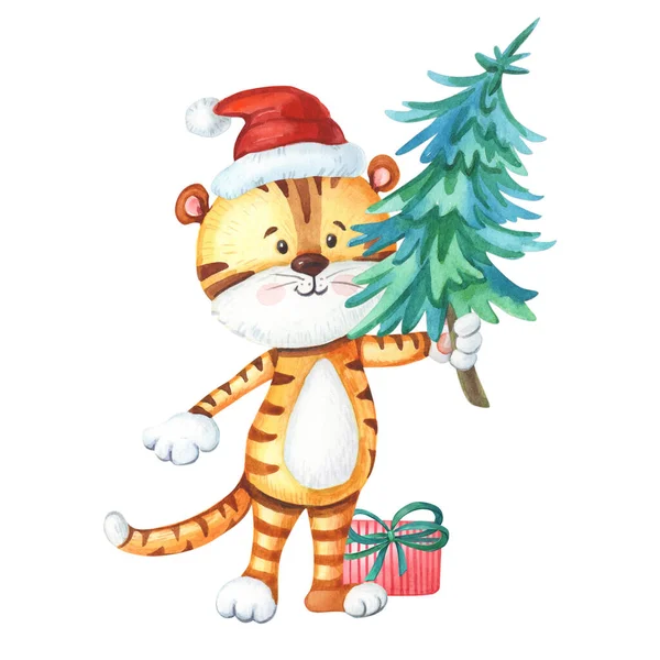 Watercolor tiger with Christmas tree and gift. Cute animal for New Year. — Stock Photo, Image