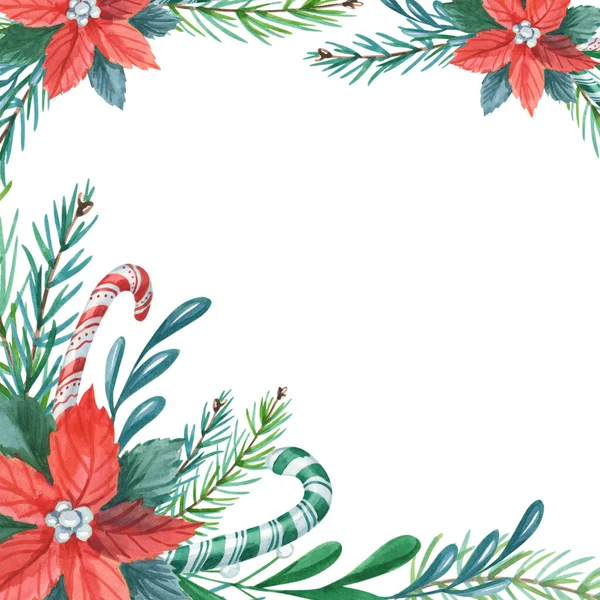 Cadre aquarelle de Noël avec poinsettia, feuilles, bâton de bonbons rayé, pin, épicéa vert — Photo