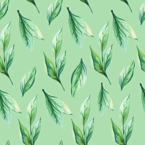 Yeşil arka planda suluboya yapraklar. Bahar, yaz bitkisel baskılar.