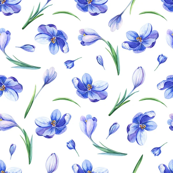 Piękny wzór wiosny bez szwu z niebieskimi krokusami. Fioletowe kwiaty szafranu — Zdjęcie stockowe