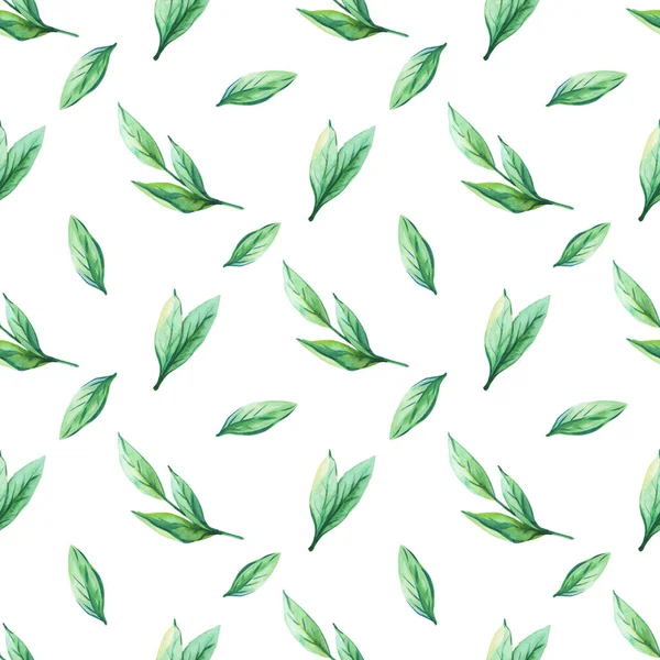 Watercolor Green Leaves White Background Spring Summer Herbal Print Seamless — Stock Photo, Image