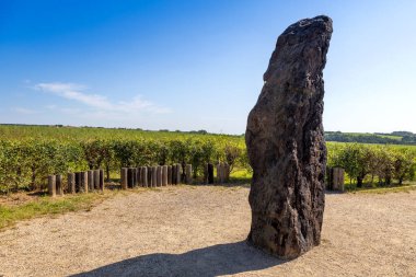 Menhir Stone Shepherd / Stony man (CR 'deki en yüksek menhir, 3.5 m, 5 ton, kumtaşı), Slany, Merkez Bohemya, Çek Cumhuriyeti, Avrupa yakınlarındaki Klobuky