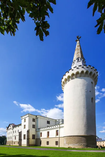 Castello Bor Vicino Alla Città Tachov Boemia Occidentale Repubblica Ceca — Foto Stock