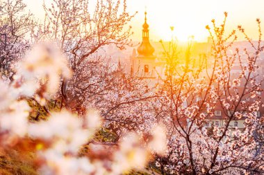 Petrin tepesi gün doğumunda, Küçük kasaba, Prag, Çek Cumhuriyeti