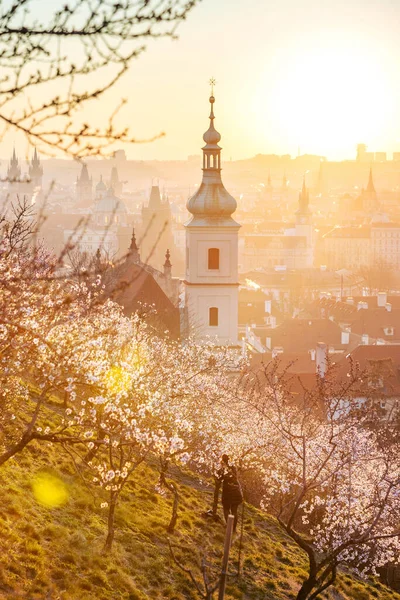 Petrin Hügel Bei Sonnenaufgang Kleinseite Prag Tschechische Republik — Stockfoto
