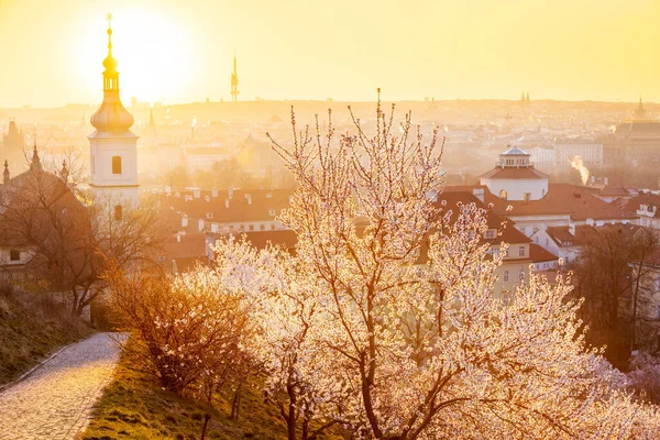 Wzgórze Petrin Wschodzie Słońca Mniejsze Miasto Praga Republika Czeska — Zdjęcie stockowe