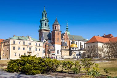 Katedral. Kraliyet kalesi Wawel, Krakow şehri, (UNESCO), Polonya