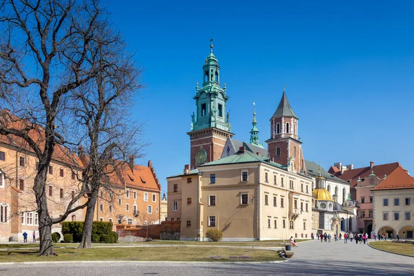Katedra Zamek Królewski Wawelu Kraków Unesco Polska — Zdjęcie stockowe