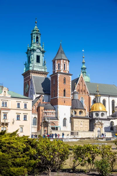 Münster Königsschloss Wawel Stadt Krakau Unesco Polen — Stockfoto