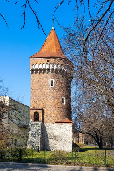 Haberhher Tower Gothic Medieval Fortification Old Town Озил Unesco Poland — стоковое фото