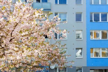 yeni gelişme, Barrandov bölgesi, Prag, Çek Cumhuriyeti 