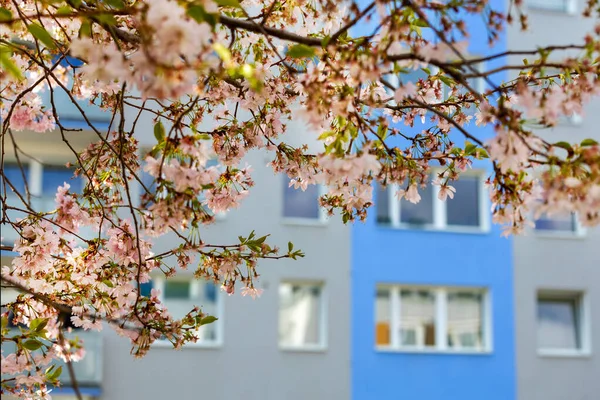 yeni gelişme, Barrandov bölgesi, Prag, Çek Cumhuriyeti 